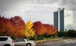 UrbanAutumn2.jpg