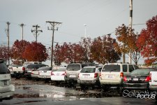 UrbanAutumn3.jpg
