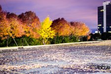 UrbanAutumn9.jpg