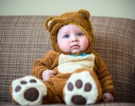 babybear.jpeg