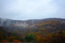 DSC_2317-1.JPG