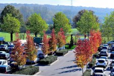 Autumn parking.jpg
