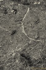 DSC_5058-Edit.jpg