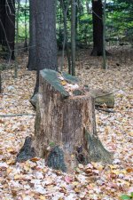 DSC_5063.jpg