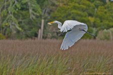 DSC_8289.jpg