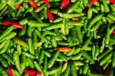 birdeyechili-1.jpg