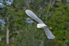 DSC_8293.jpg