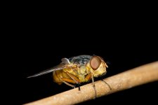 DSC_2836 (1).jpg