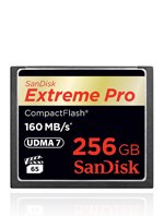 cfp-sdcfxp-256gb.jpg