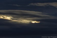 _D804857-Edit.jpg