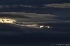 _D804858-Edit.jpg