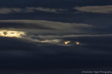_D804859-Edit.jpg