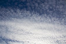 _DSC8821.jpg