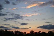 DSC_0040.jpg