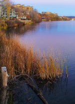 Magog river.jpg