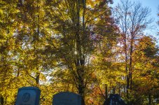 Assmt3_Light_001a.jpg