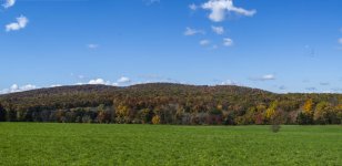 Lyman2_077_078_Pan.jpg