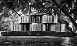 lunchbw-1.jpg