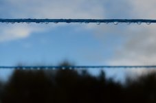 DSC_4316_resize.jpg