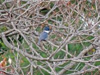DSCN8918.jpg