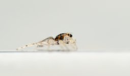 SHM_4885.jpg