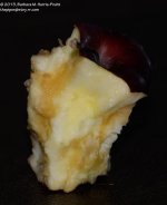 307 Apple Core-131105_01.jpg
