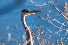 DSC_5153.jpg