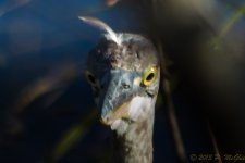 DSC_5163.jpg