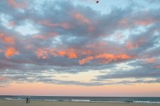 Kite in NH1 (1 of 1).jpg