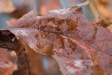 DSC_5174.jpg