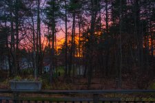DSC_5186.jpg