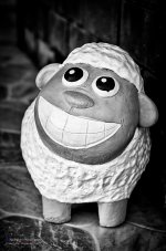 smileb-1.jpg
