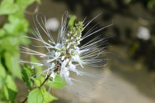 DSC_0513.jpg