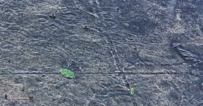 rainyday-1.jpg