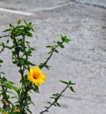 rainyday-4.jpg