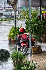 rainyday-5.jpg