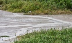 rainyday-11.jpg