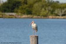 2DSC_8065.jpg