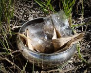 ricebowl-1.jpg