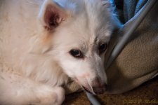 DSC_5249.jpg
