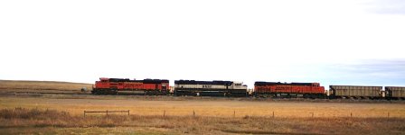 DSC_2376.JPG