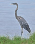 DSC_5315.jpg