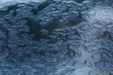 DSC_5252.jpg