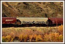 CANYON 224.jpg