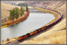 CANYON 501.jpg