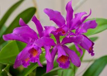 DSC_3514.jpg