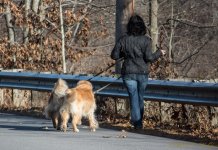 DSC_5297.jpg