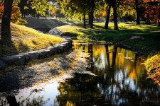 Park1.jpg