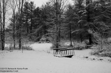 314 First Snow-131112_01.jpg