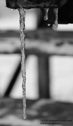 314 Icicle-131112_01.jpg